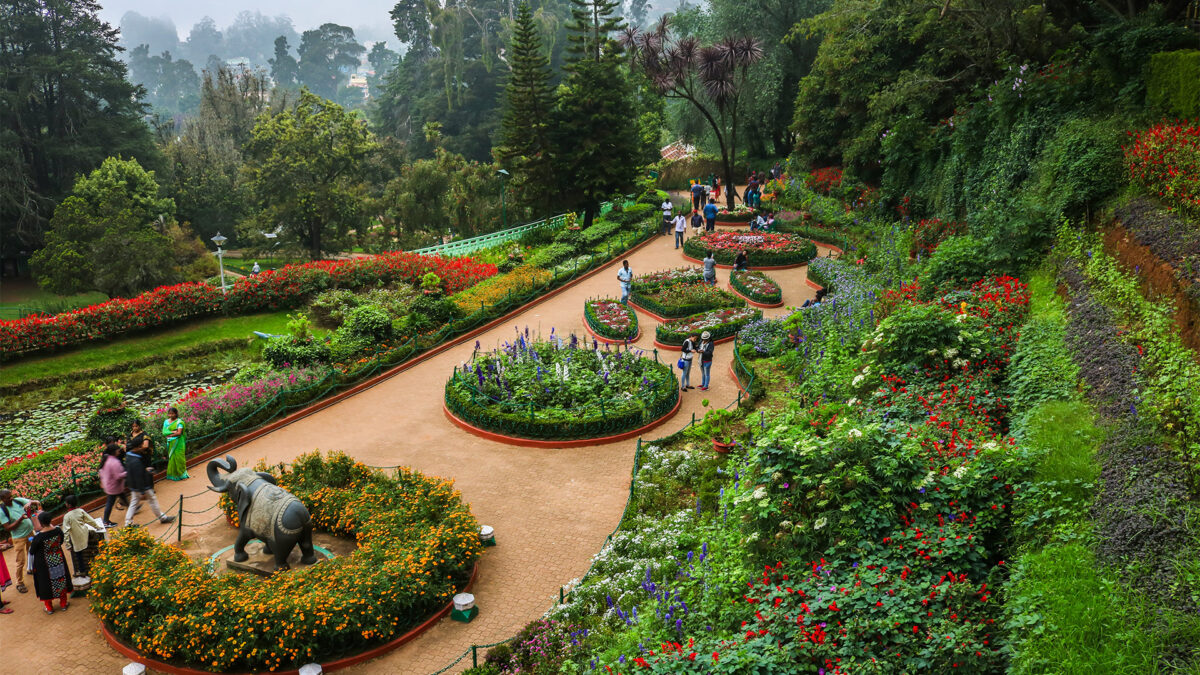 ooty oneway drop taxi